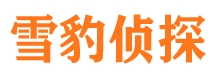 安多市侦探调查公司